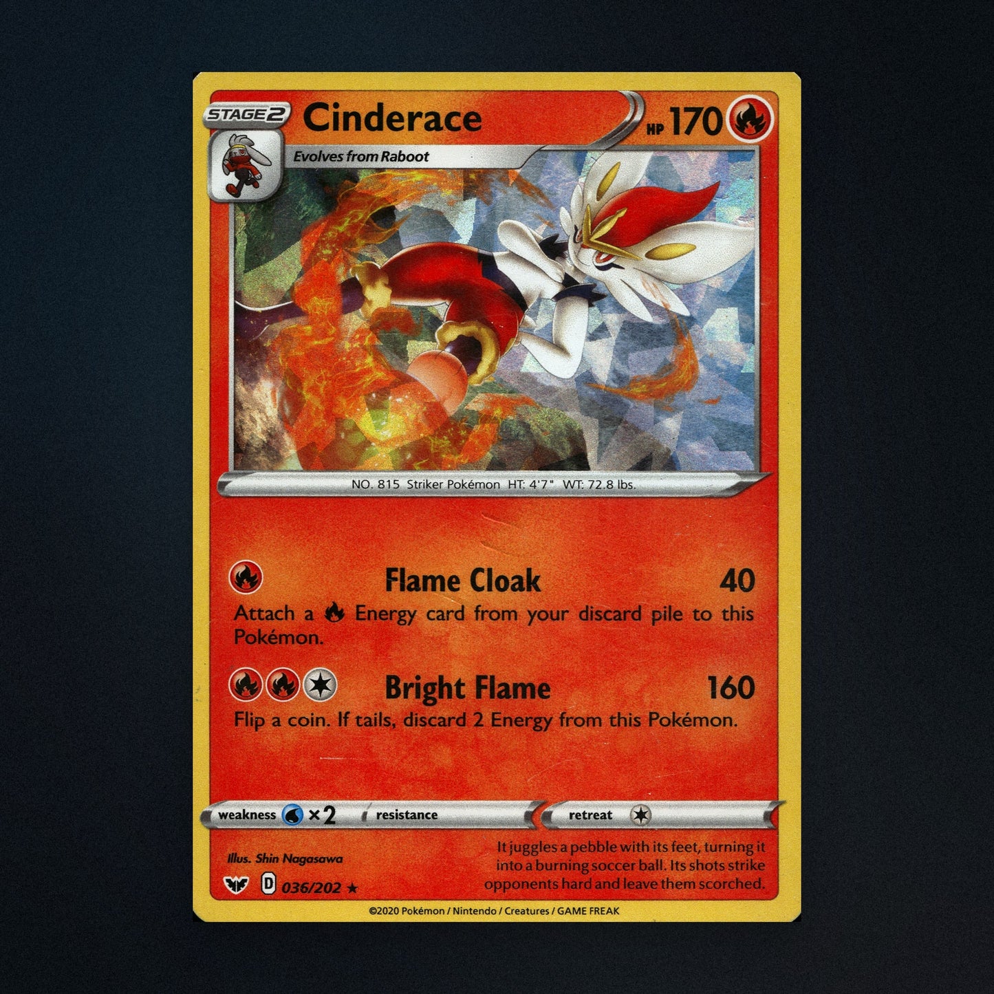 Cinderace - 036/202 - Sword & Shield - Holo - Lightly Played front
