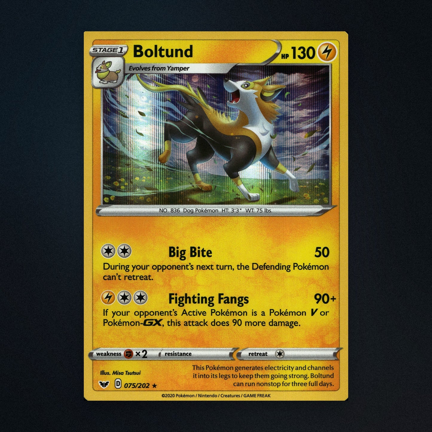 Boltund - 075/202 - Sword & Shield - Holo - Moderately Played front